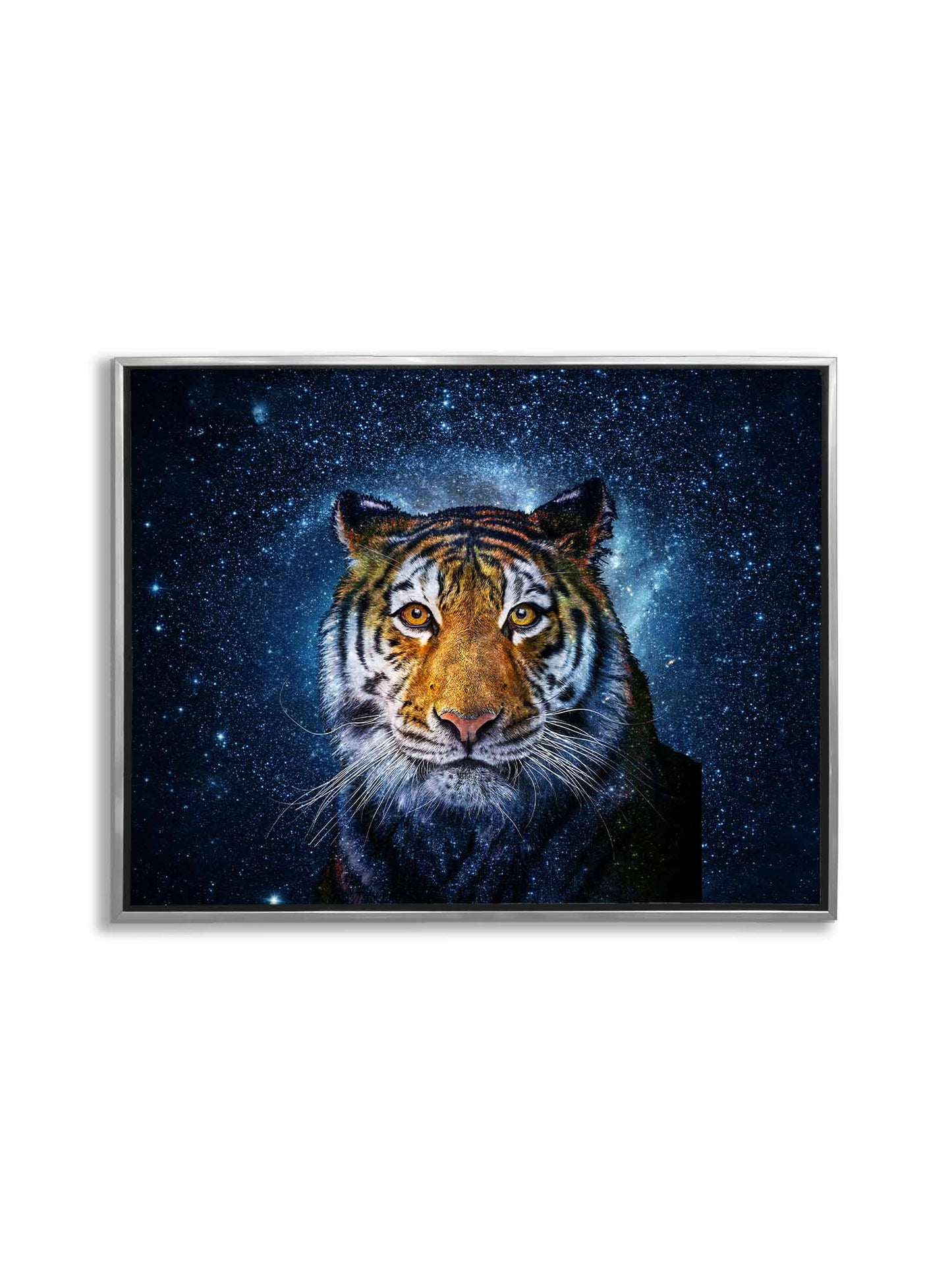 Celestial tiger canvas wall art with cosmic blue background in 48x36 format