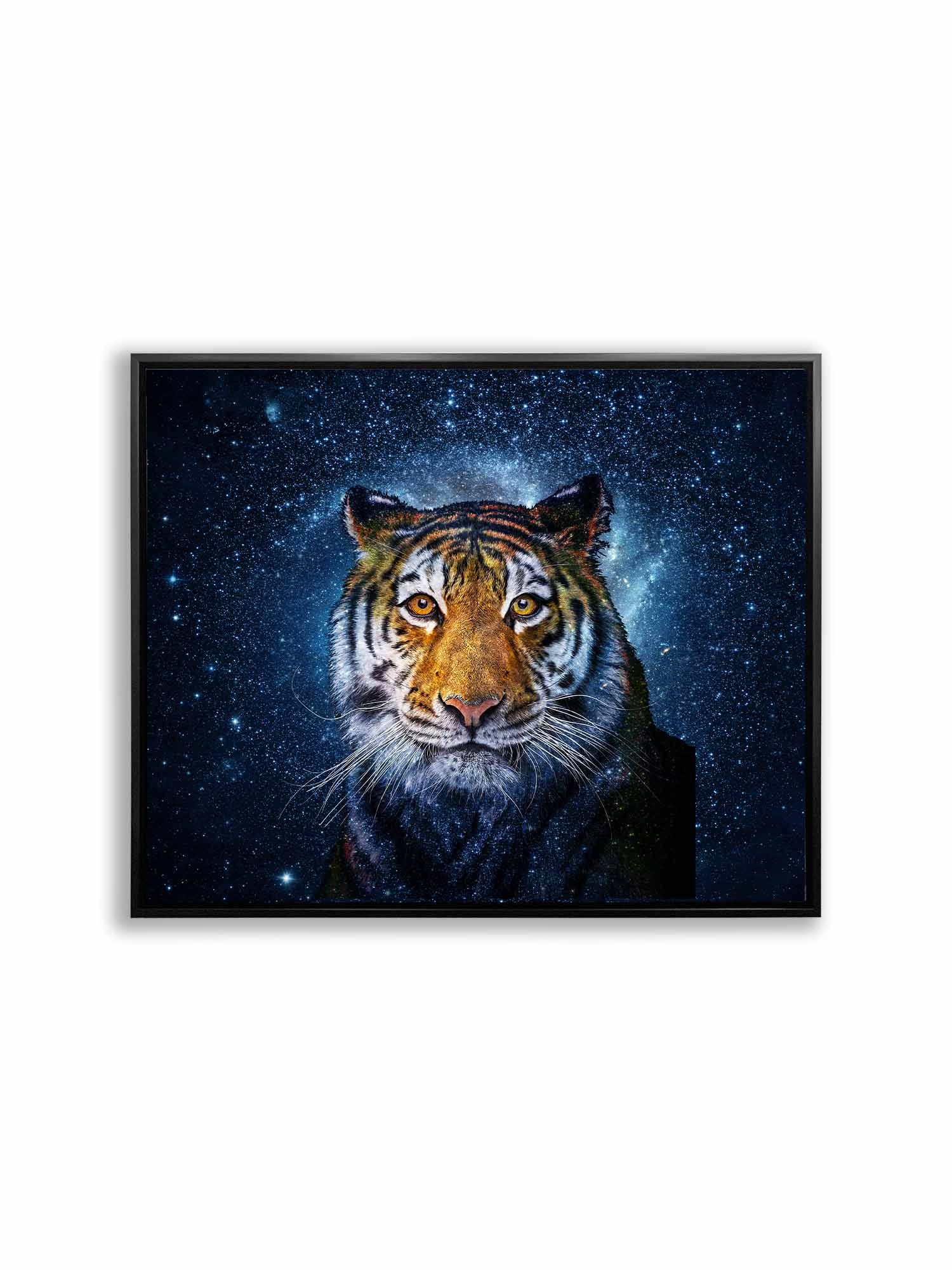 Celestial tiger canvas wall art with cosmic blue background in 48x36 format