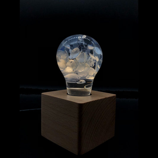 Handcrafted EP Light resin LED bulbs glowing in ambient decorative lighting setup