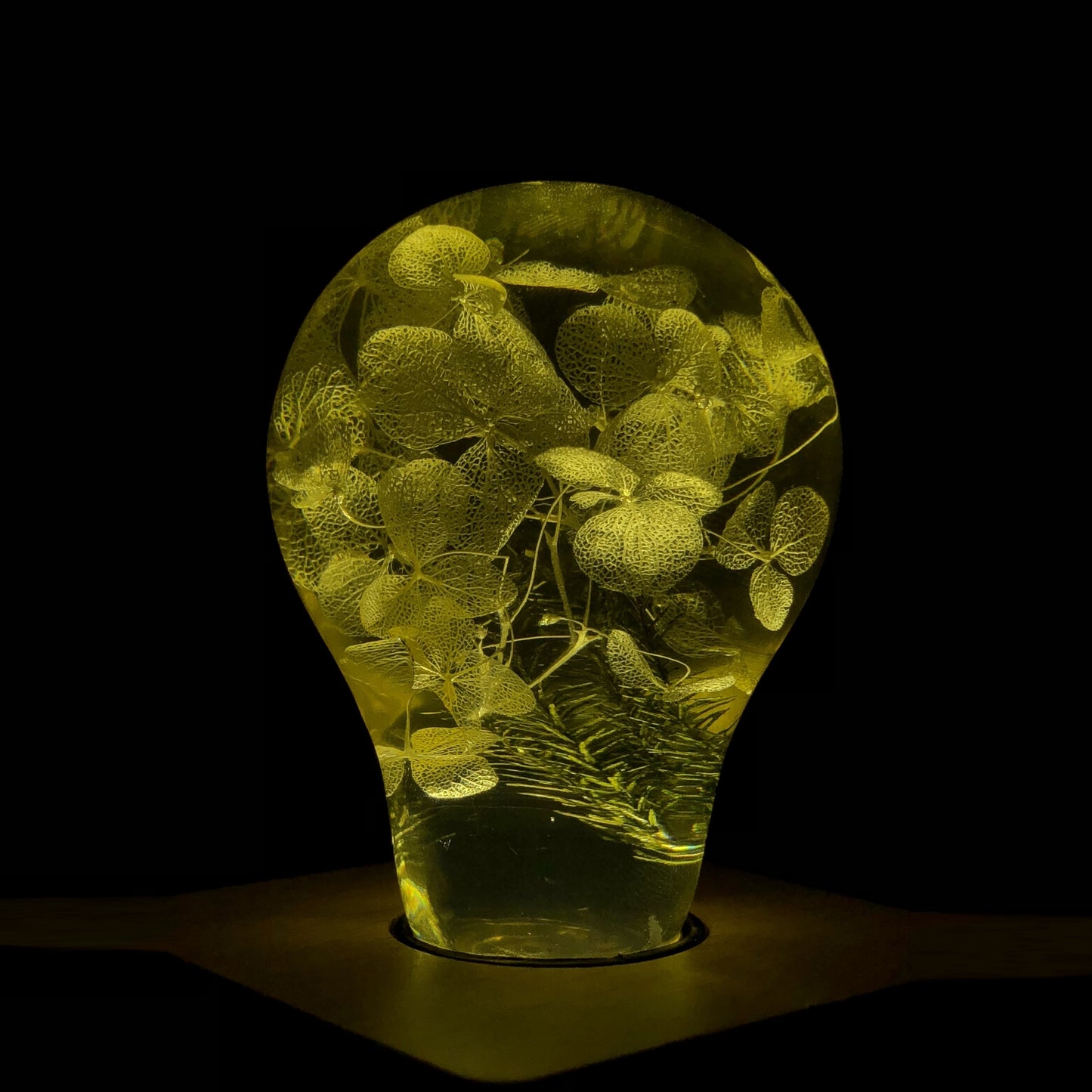 Celestial LED Resin Bulb Set – 3 Pack Ambient Lighting